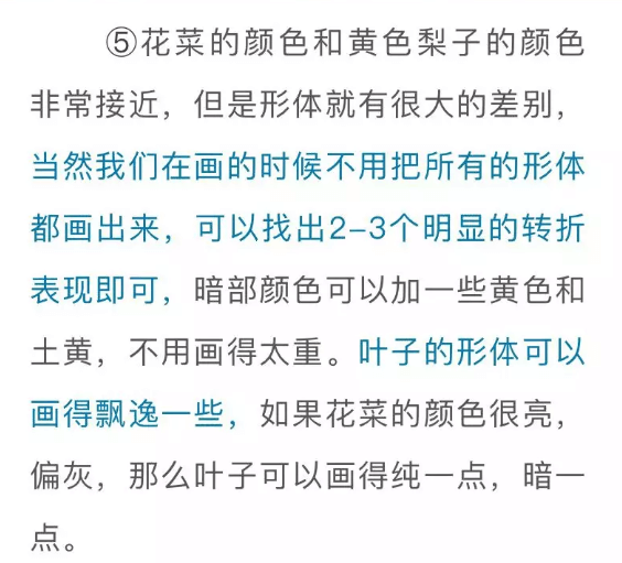 色彩靜物中的蔬菜類怎么畫,看重慶美術(shù)培訓(xùn)學(xué)校老師來教你！圖二十四