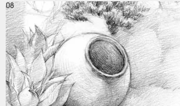 素描場景實(shí)操教程！花園一角怎么畫？重慶畫室學(xué)子看過來！圖九