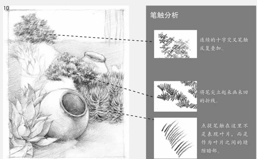素描場景實(shí)操教程！花園一角怎么畫？重慶畫室學(xué)子看過來！圖十一