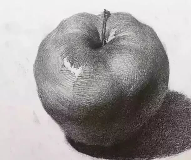 學會這七類靜物單體，你的素描將會更進一步