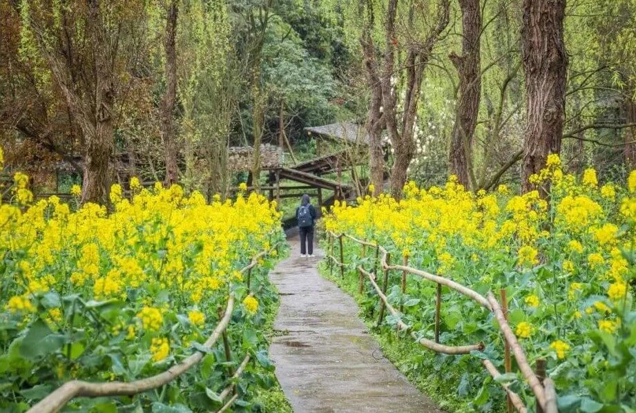 在川美上學是一種什么體驗？重慶美術(shù)集訓畫室?guī)銇頋q姿勢了！