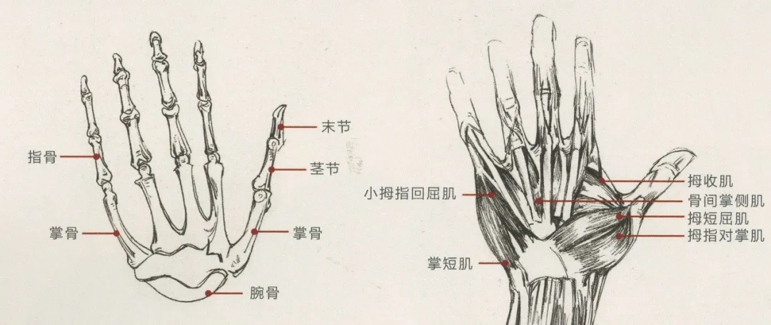 重慶美術培訓畫室：畫人難畫手，畫好手速寫事半功倍！