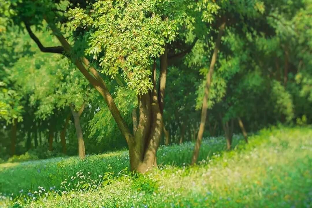 像相機(jī)拍出來的畫，你見過嗎？重慶美術(shù)藝考集訓(xùn)畫室?guī)懔私獬瑢憣?shí)繪畫！圖五
