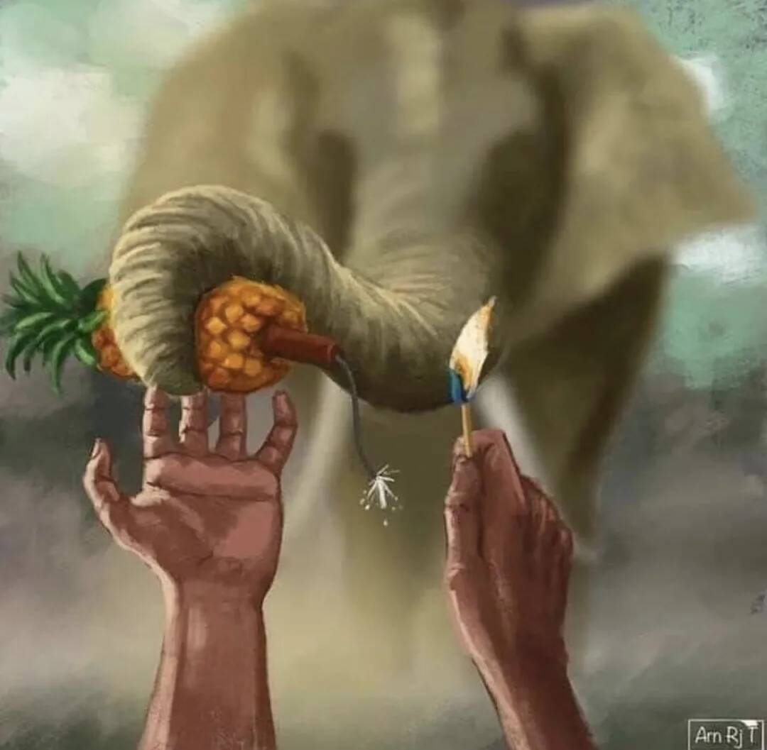 重慶藝考畫室資訊 | 懷孕母象被人類投喂炸彈慘死，藝術家哭著為它作畫！