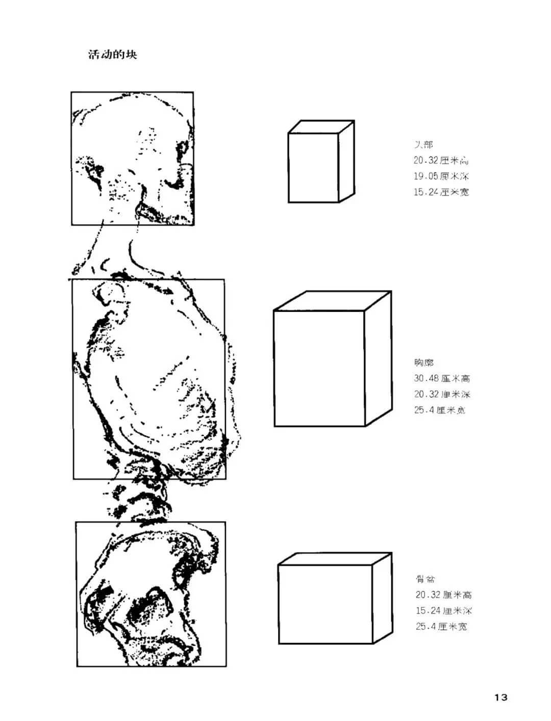 干貨分享：速寫人物基礎(chǔ)知識詳解及要點剖析！8
