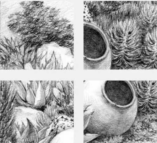 素描場景實(shí)操教程！花園一角怎么畫？重慶畫室學(xué)子看過來！圖十六