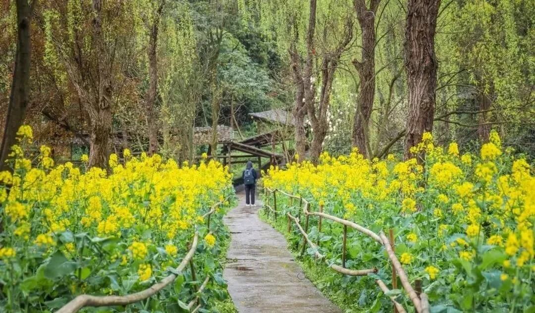 重慶畫室培訓(xùn)助你考上川美！體驗川美校園環(huán)境，提前愛上她！
