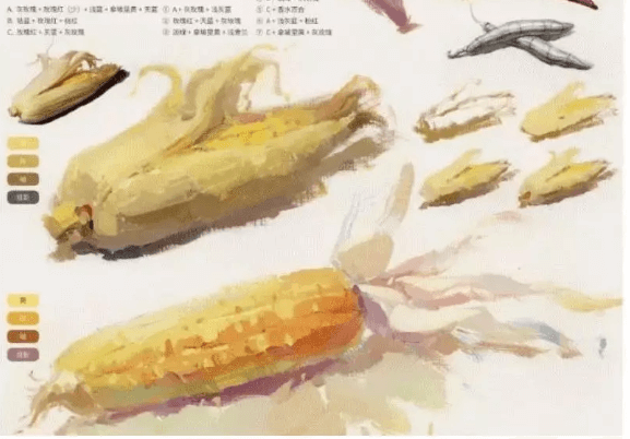 色彩靜物中的蔬菜類怎么畫,看重慶美術(shù)培訓(xùn)學(xué)校老師來教你！圖二十三