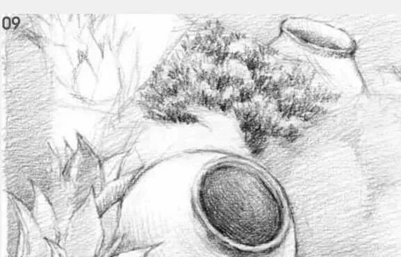素描場景實(shí)操教程！花園一角怎么畫？重慶畫室學(xué)子看過來！圖十