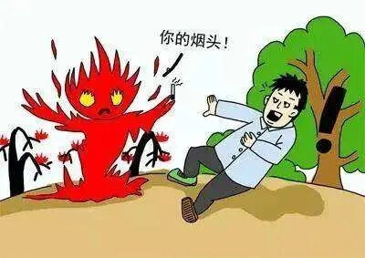 重慶美術(shù)培訓(xùn)