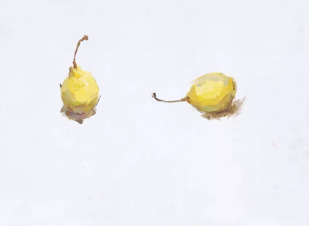重慶美術(shù)培訓(xùn)畫(huà)室為你整理了聯(lián)考常見(jiàn)的色彩靜物單體詳解！