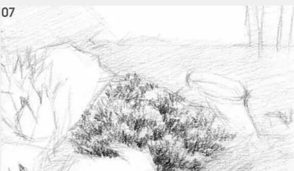 素描場景實(shí)操教程！花園一角怎么畫？重慶畫室學(xué)子看過來！圖八