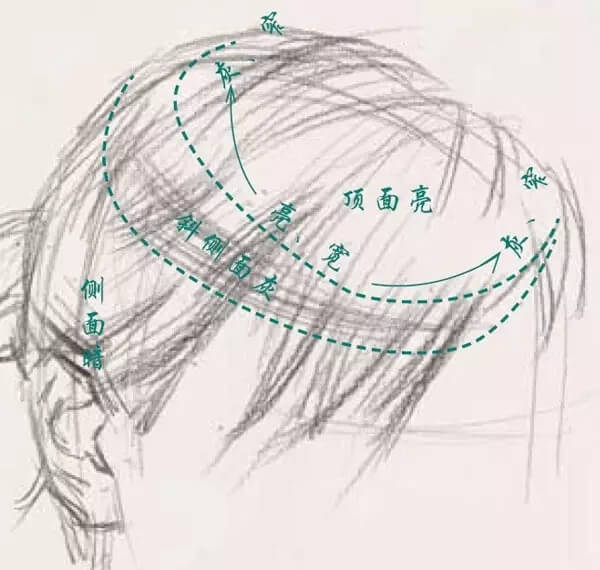 素描頭像的發(fā)絲教學(xué)！跟著重慶美術(shù)集訓(xùn)畫室老師看看吧，圖一