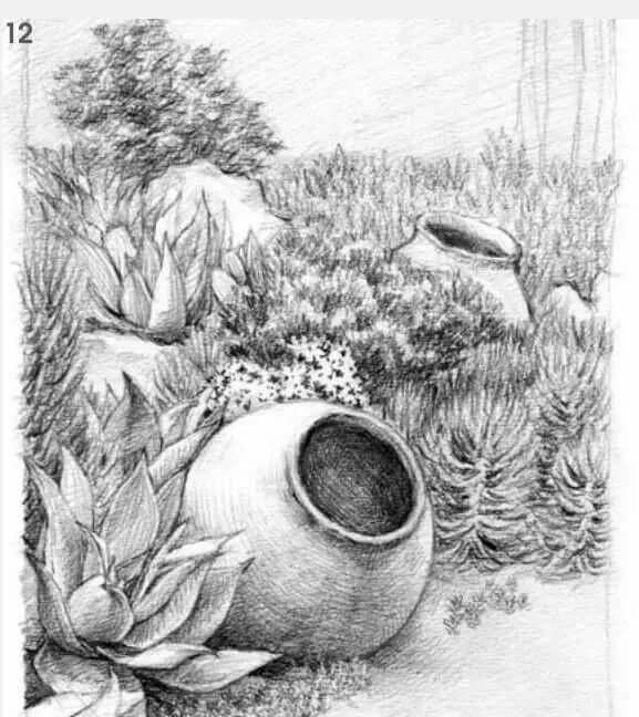 素描場(chǎng)景實(shí)操教程！花園一角怎么畫？重慶畫室學(xué)子看過來！