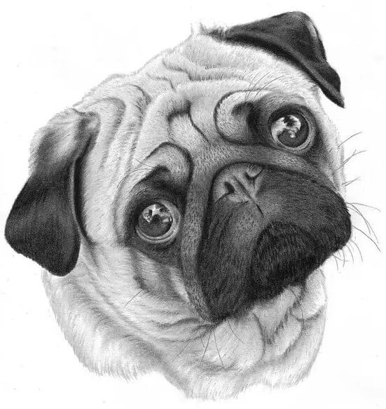 畫素描如何快速提高分數(shù)？這十大事實重慶美術培訓畫室里的同學一定要知道！