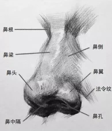 畫好五官，整個頭像就亮了！重慶美術(shù)培訓畫室?guī)湍懵?lián)考素描提高10分！