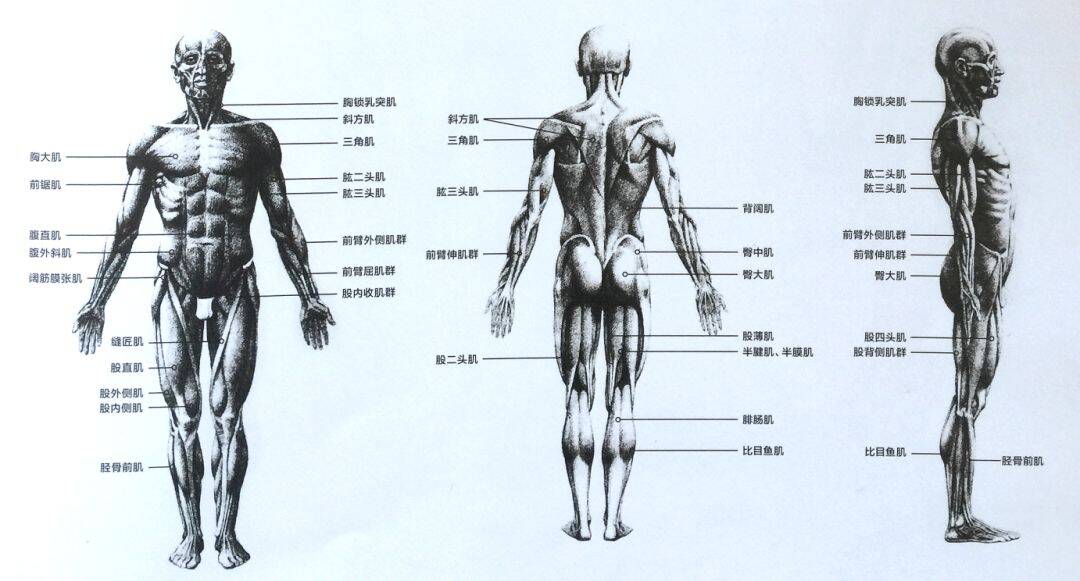 重慶美術集訓,重慶十大畫室05