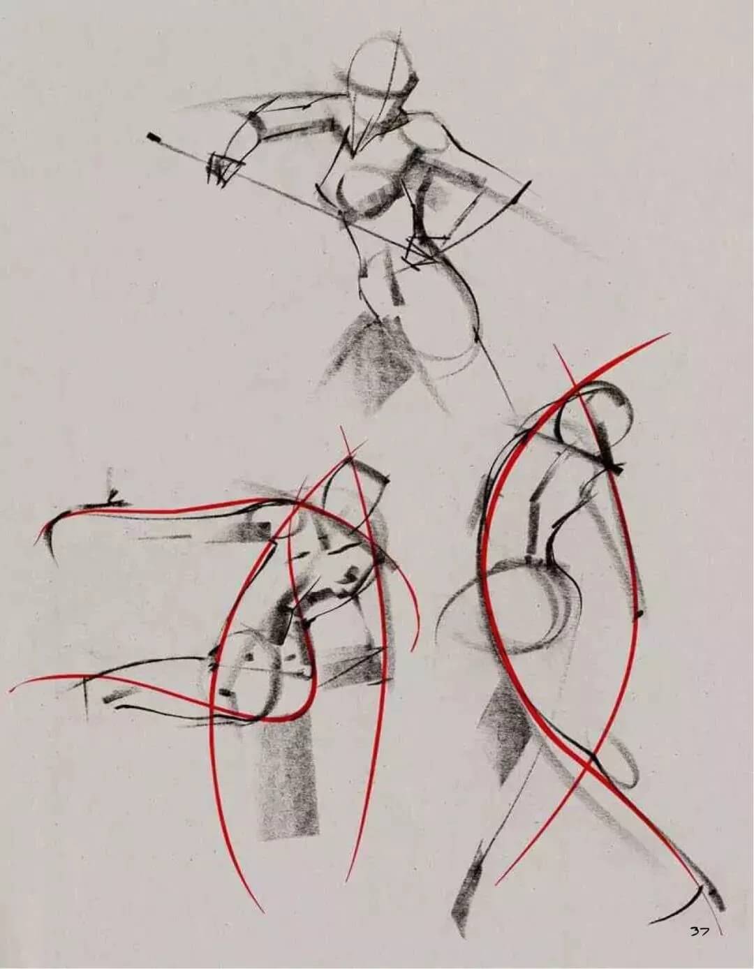 美術(shù)?？几叻旨记桑喝宋锼賹?，最關(guān)鍵的一點(diǎn)“動(dòng)態(tài)線”！圖五