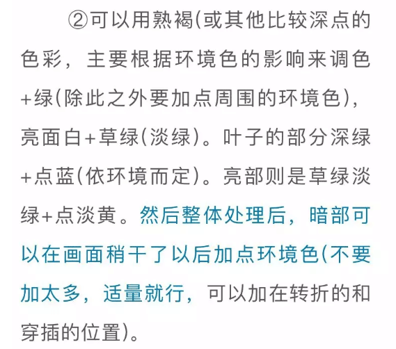 色彩靜物中的蔬菜類怎么畫,看重慶美術(shù)培訓(xùn)學(xué)校老師來教你！圖五